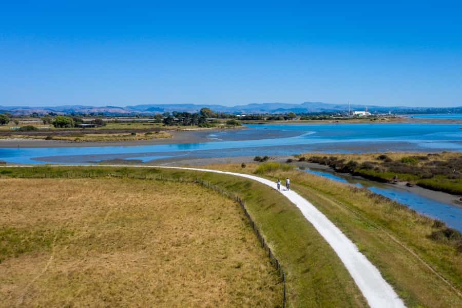 Hawke's Bay: Self Guided Coast to Vineyards Cycle Tour - Practical value at $47