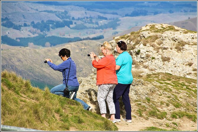 Hawkes Bay - Scenic, luncheon, wine Tour - Why this six-hour route works well