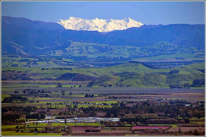 Hawkes Bay - Scenic, luncheon, wine Tour - The coast, farms, and Hawke’s Bay countryside