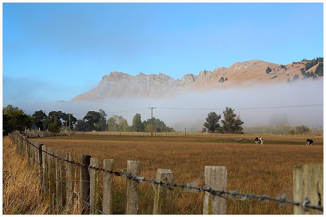Hawkes Bay - Scenic, luncheon, wine Tour - Napier’s Art Deco streets and the 1931 earthquake