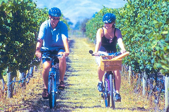 Hawkes Bay Wineries Self-Guided Bike Tour - A leisurely start near Ash Ridge Wines