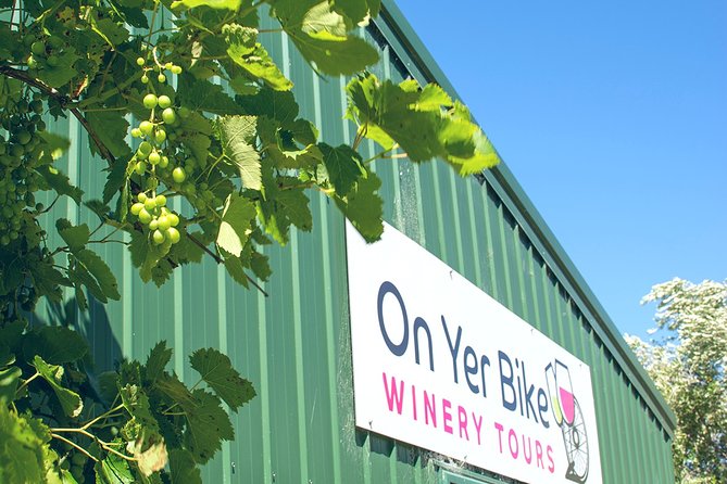 Hawkes Bay Wineries Self-Guided Bike Tour - A closer look at the included bikes and support