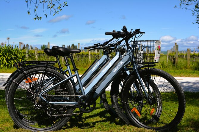 Hawkes Bay Wineries Self-Guided Electric Bike Tour - Who will enjoy this ride most