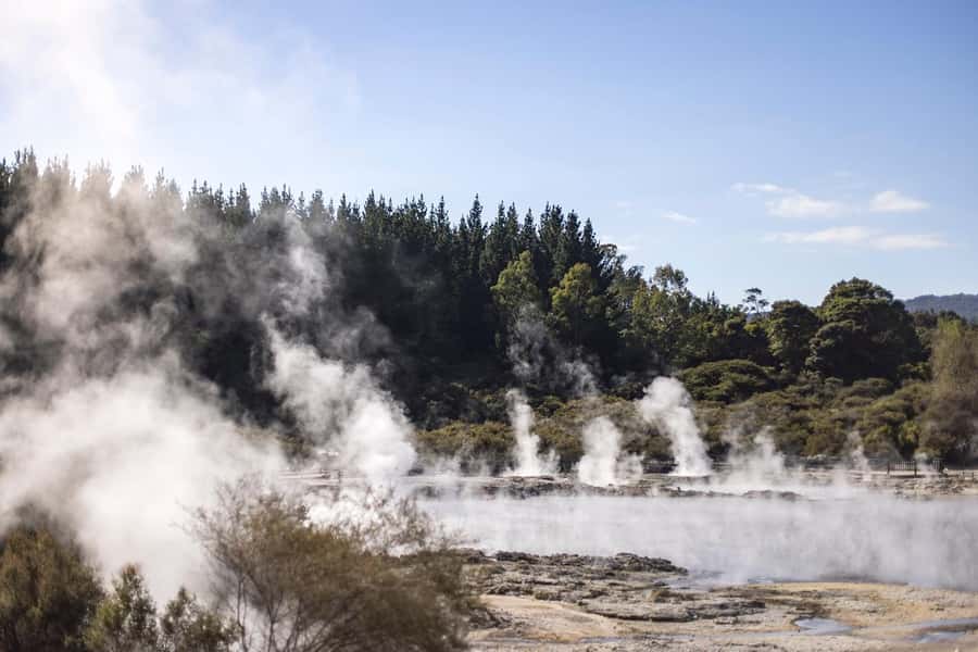 HELL'S GATE Mud Spa, Rotorua - Group Day Tour Ex Auckland - A long but simple route from Auckland