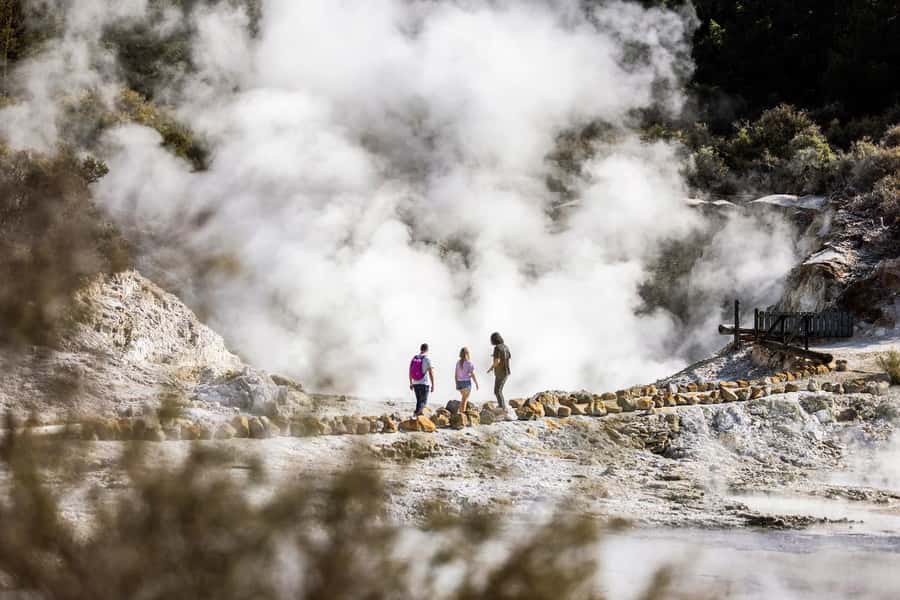 HELL'S GATE Mud Spa, Rotorua - Group Day Tour Ex Auckland - Plan lunch before the 1:30 PM shuttle