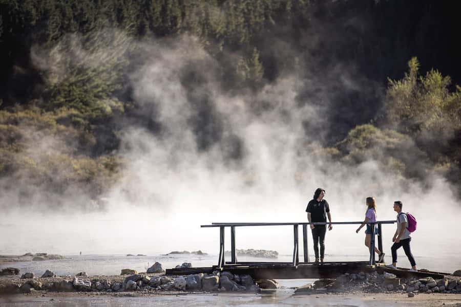 HELL'S GATE Mud Spa, Rotorua - Group Day Tour Ex Auckland - A brief driving tour of Rotorua