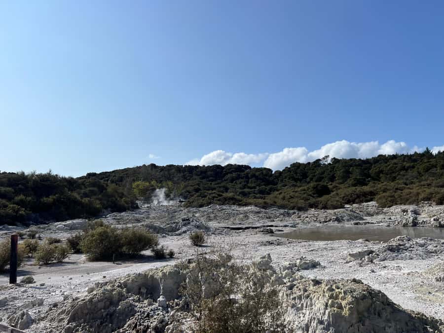 HELL'S GATE Mud Spa, Rotorua - Group Day Tour Ex Auckland - The Waikato River breaks up the return drive