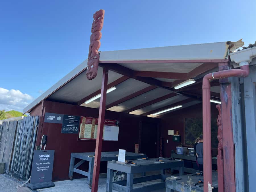 HELL'S GATE Mud Spa, Rotorua - Group Day Tour Ex Auckland - Who should book this Hell’s Gate day trip?