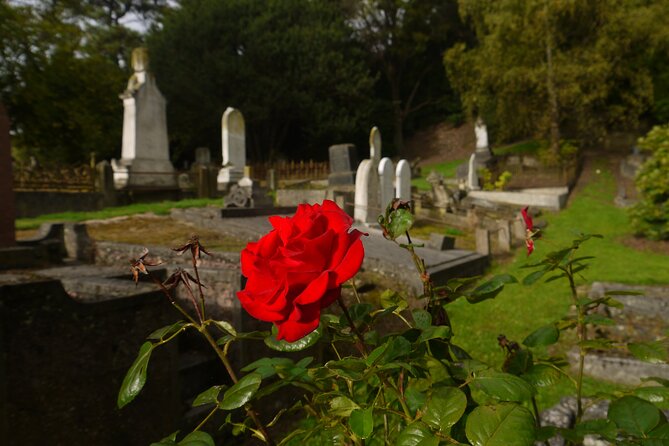Heritage City and Larnach Castle Van tour with Historian Guide - The Northern Cemetery gives Larnach Castle a human story