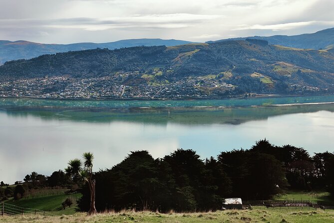 Heritage City and Larnach Castle Van tour with Historian Guide - Queens Garden and High Street reveal two sides of the city
