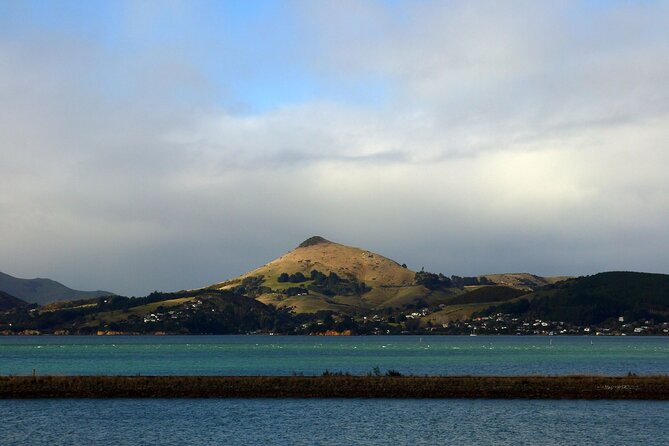 Heritage City and Larnach Castle Van tour with Historian Guide - The price makes sense for cruise passengers and first-time visitors