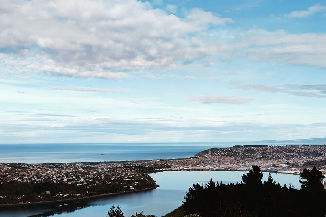 Heritage City and Larnach Castle Van tour with Historian Guide - Timing, pickup, and comfort matter on a short port visit