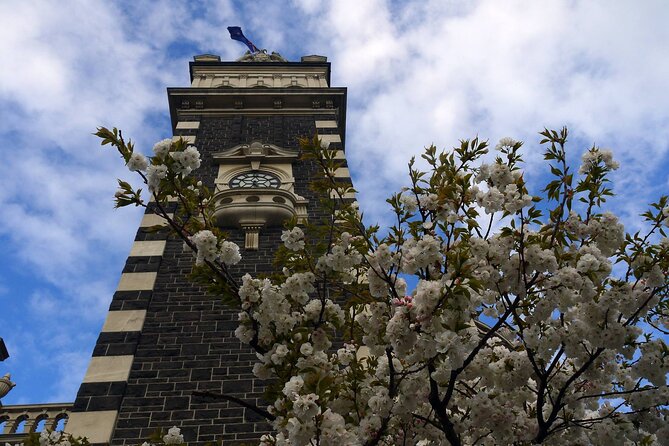 Heritage Dunedin City Walking Guided Tour - Princes Street and stone with a sense of humor