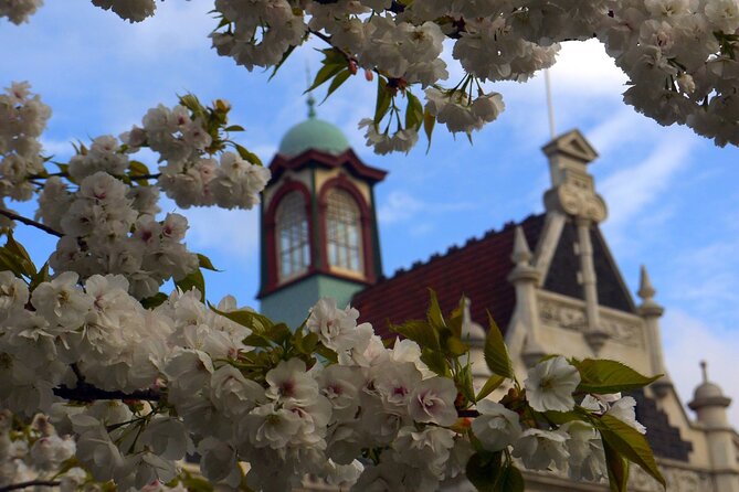 Heritage Dunedin City Walking Guided Tour - What the $40.34 price really covers