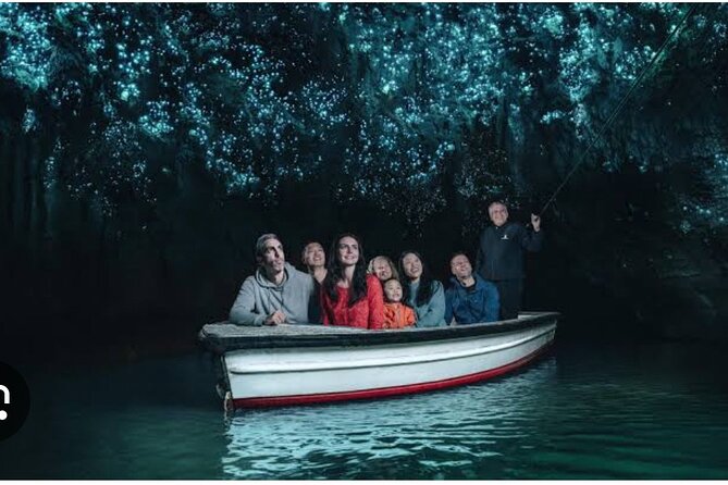 Hobbiton and Waitomo Caves Arrive in Comfort and Style - Why this Auckland day trip works