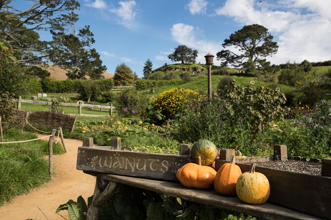 Hobbiton Day Tour from Rotorua with lunch at Hobbiton - A drink and buffet lunch at the Green Dragon