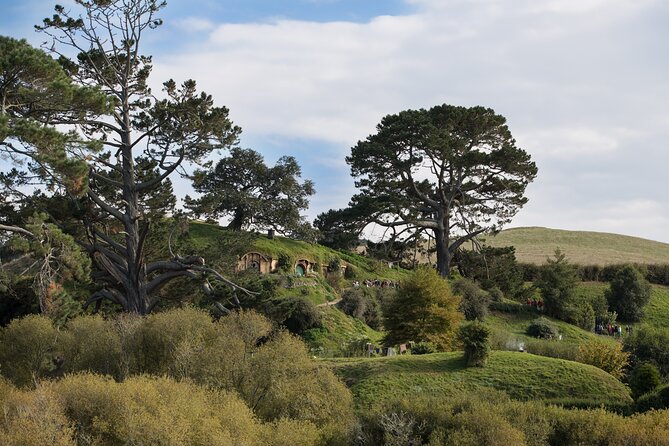 Hobbiton Day Tour from Rotorua with lunch at Hobbiton - Who will enjoy this Hobbiton trip most