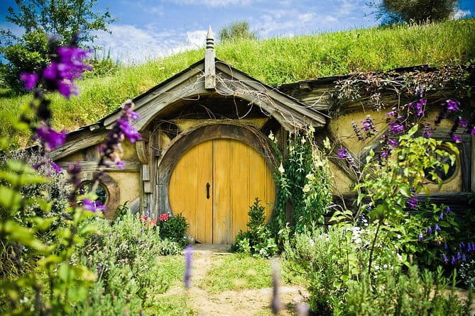 Hobbiton Movie Set Day Tour - Why the small group changes the day