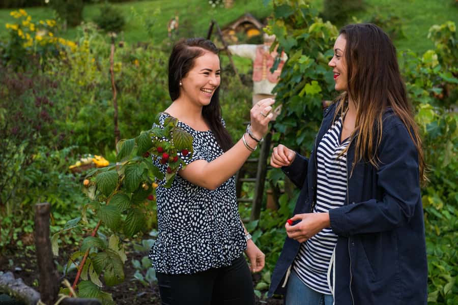 Hobbiton Movie Set & Rotorua Premium Day Tour from Auckland - What the guide adds to the day