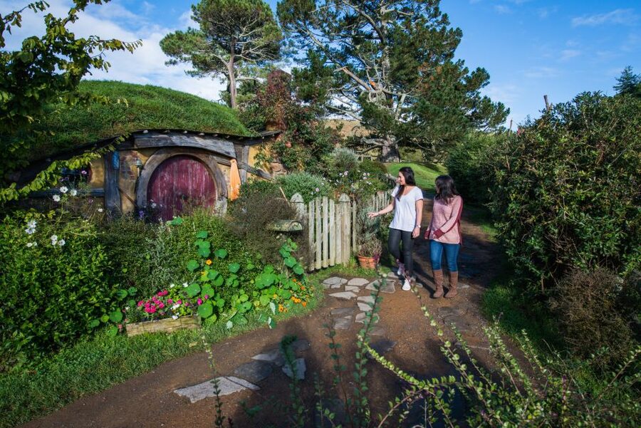 Hobbiton Movie Set & Rotorua Premium Day Tour from Auckland - Kiwi birds at Nga Manu Ahurei