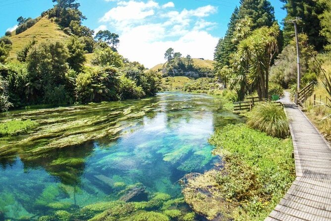 Hobbiton Movie Set Tour to Blue Springs and Mineral Spa - Tirau: a practical lunch stop in a pretty village