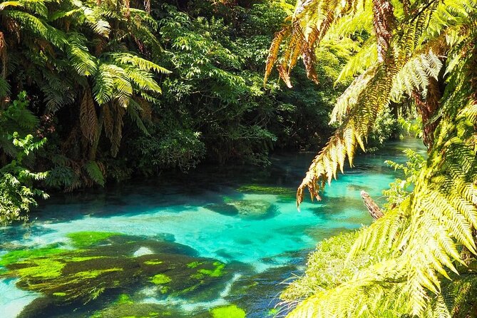 Hobbiton Movie Set Tour to Blue Springs and Mineral Spa - Te Aroha Mineral Spa and the private wooden bath