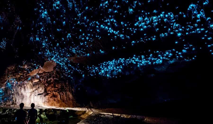 Hobbiton Movie Set Tour to Blue Springs and Waitomo caves - Blue Springs and a quieter hour outside