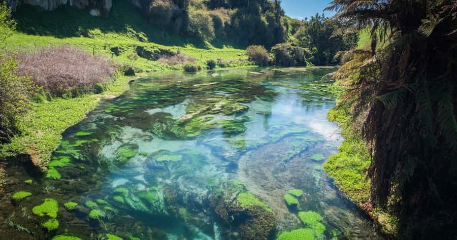 Hobbiton Movie Set Tour to Blue Springs and Waitomo caves - What the guide can add
