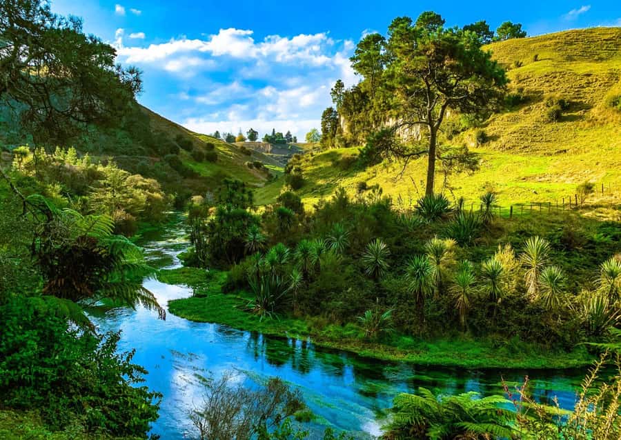 Hobbiton Movie Set Tour to Blue Springs and Waitomo caves - Booking advice for a smoother day