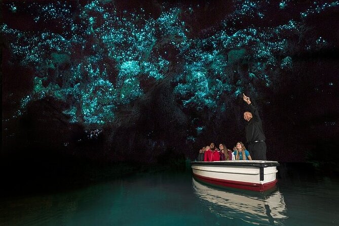 Hobbiton Movie Set & Waitomo Glow Worm Caves Private Tour - Walking through Hobbiton’s movie set