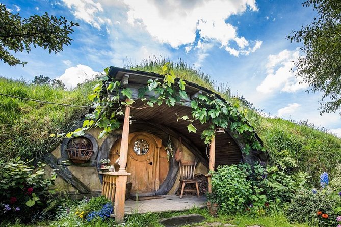 Hobbiton & Waitomo Caves Guided Day Trip from Auckland incl lunch - The Waitomo Glowworm Caves by boat