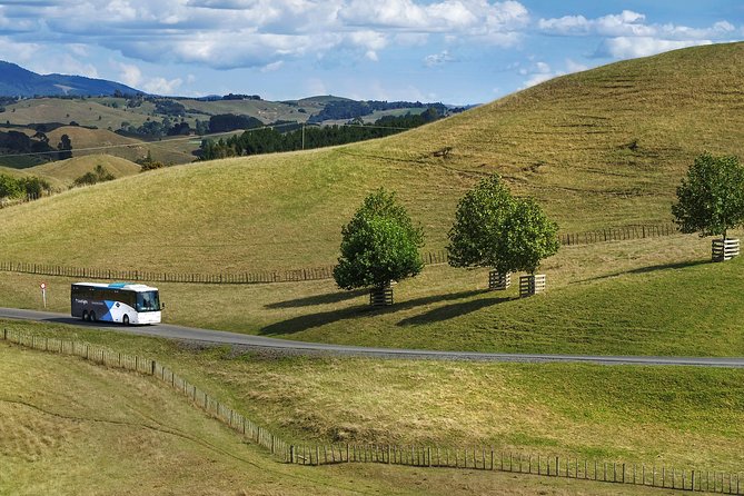 Hobbiton & Waitomo Caves Guided Tour from Auckland with Lunch - Lunch arrives before the Shire