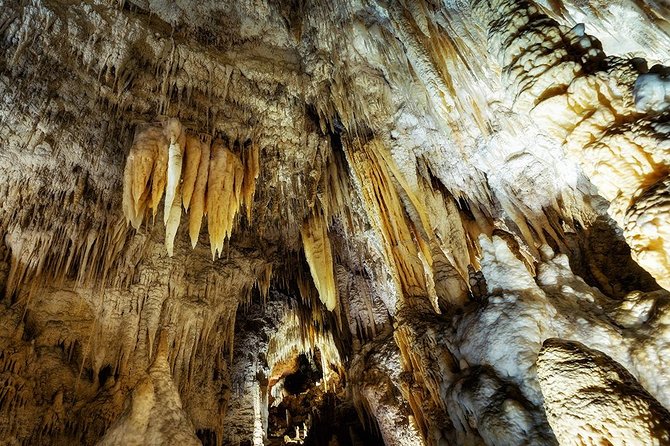 Hobbiton & Waitomo Caves Small Group Tour from Auckland inc Lunch - The glowworm caves at Waitomo