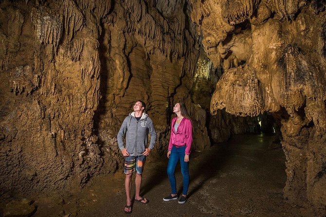 Hobbiton & Waitomo Caves Small Group Tour from Auckland inc Lunch - Small group, firm schedule, and guide style