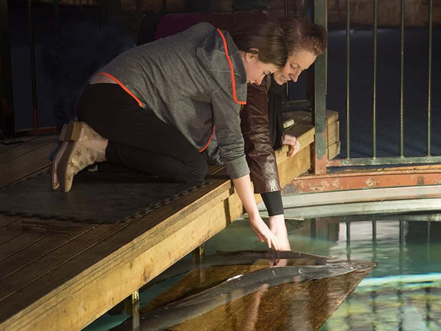 Hokitika: The National Kiwi Centre Tickets - How the One-Hour Visit Unfolds