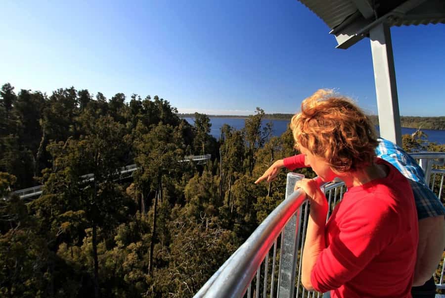 Hokitika: West Coast Tree Top Tower Zip Line and Walk - Key points at a glance