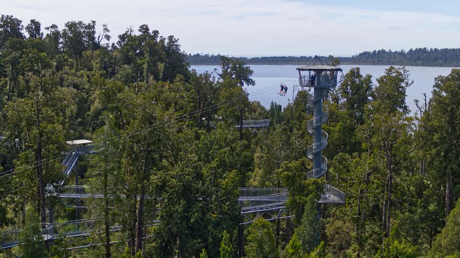 Hokitika: West Coast Tree Top Tower Zip Line and Walk - Climbing 106 steps to the spiral tower