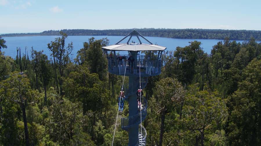 Hokitika: West Coast Tree Top Tower Zip Line and Walk - The walkway is the heart of the visit