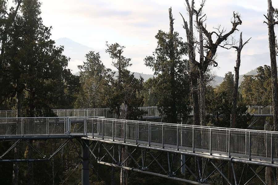 Hokitika: West Coast Treetop Walkway Entrance Ticket - Key points before you book