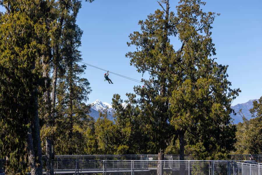 Hokitika: West Coast Treetop Walkway Entrance Ticket - Starting at the cafe on Woodstock-Rimu Road