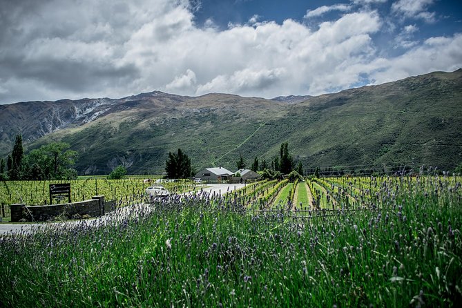Hop on Hop off Wine Tours Queenstown - Ayrburn, Mora, Amisfield, and Stoneridge
