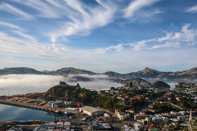 Iconic Shore Excursion: Dunedin City Highlights Tour - Quick reasons to consider this Dunedin tour