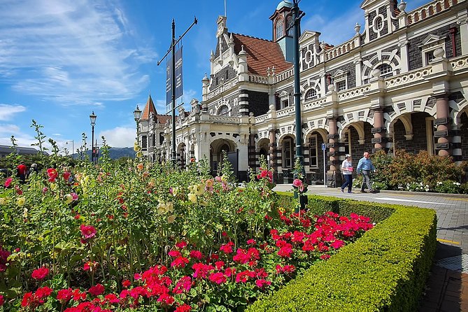 Iconic Shore Excursion: Dunedin City Highlights Tour - Why this four-hour tour works well from Port Chalmers