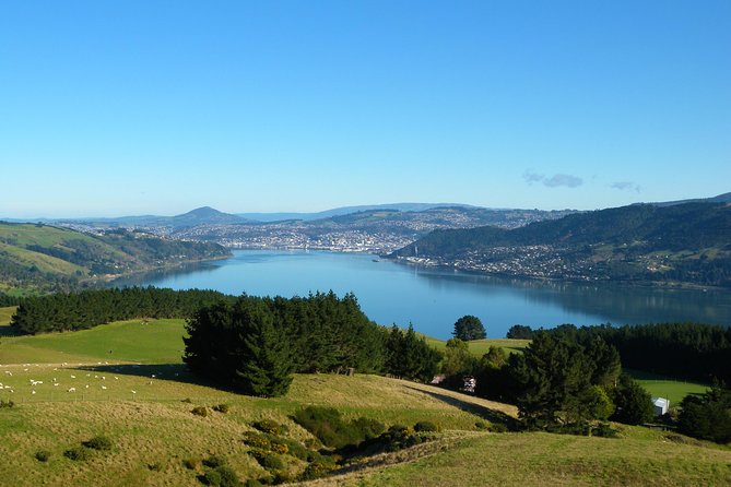 Iconic Shore Excursion: Dunedin City Highlights Tour - Dunedin Railway Station deserves more than a drive-by