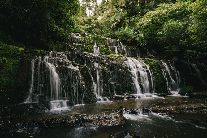 Invercargill to Dunedin via the Catlins Small Group 1 Way Tour - Why This One-Way Catlins Trip Works
