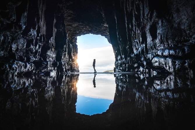 Invercargill to Dunedin via the Catlins Small Group 1 Way Tour - Curio Bay and Its 180-Million-Year-Old Forest