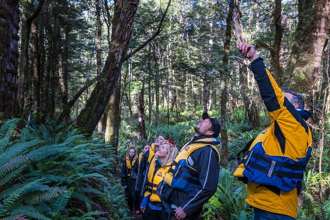 Jet Boat Journey through Fiordland National Park - Pure Wilderness - Practical details that make the day smoother
