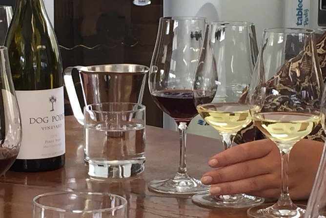Jimmy’s Classic Marlborough Wine tours - What Jimmy adds to the day