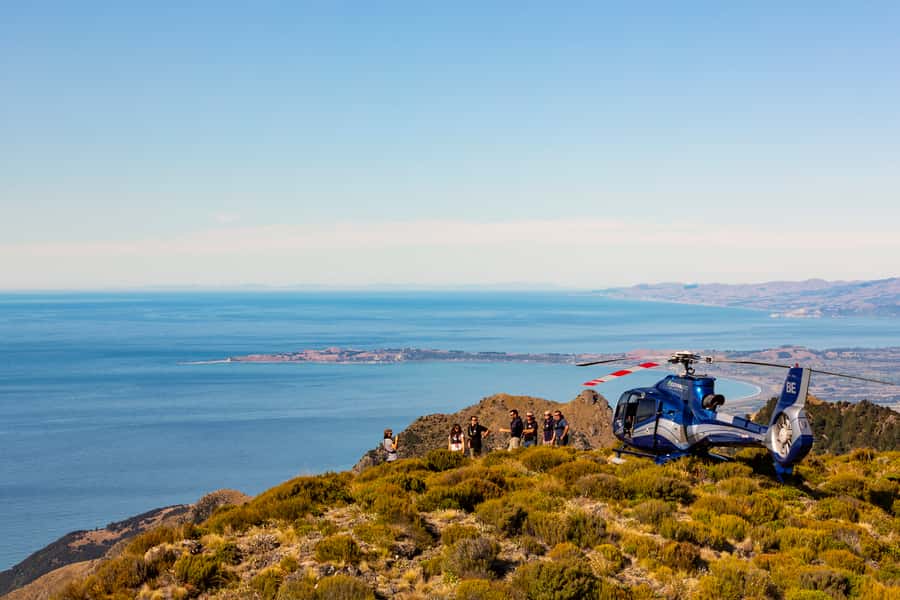 Kaikoura: 1-Hour Whale Watching Helicopter Tour - Landing on Mt Fyffe at about 1,600 metres