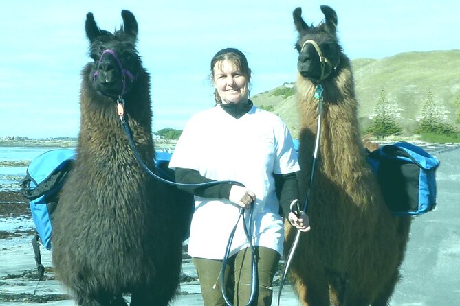 Kaikoura: Coastal and Alpine Scenic Airplane Flight - Following the Black Sand Beach South